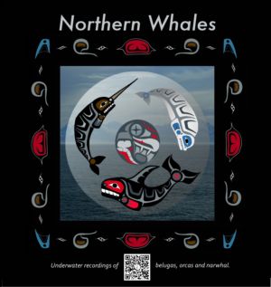 Norhten Whales 2019